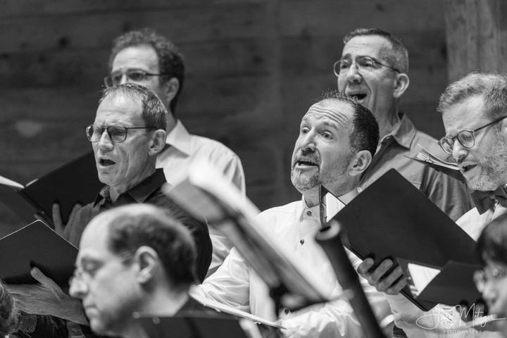 Voices and Moves 2025, Szene 19